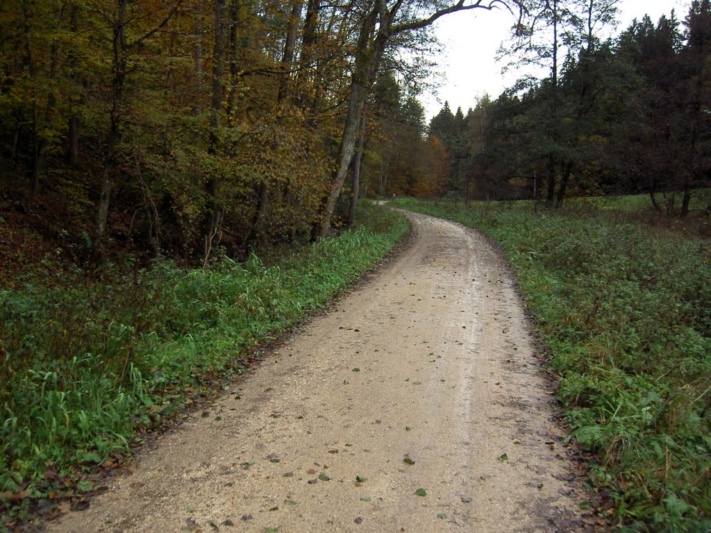 Reichenbach, Germany by Fotograf01