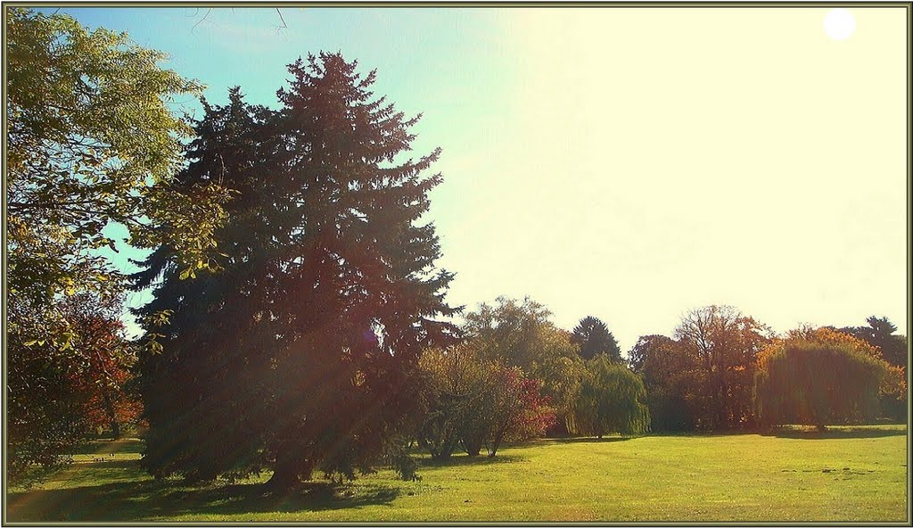 Herrlicher Sonnentag im Schlosspark von Marquardt. by H. Hönow