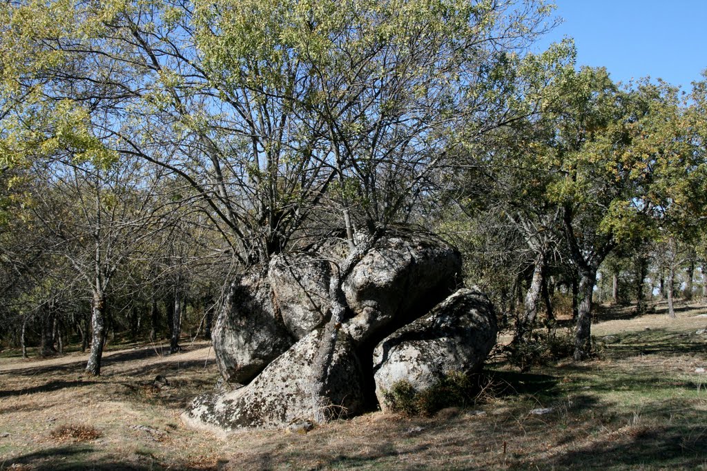 El berrocal en otoño by pampali