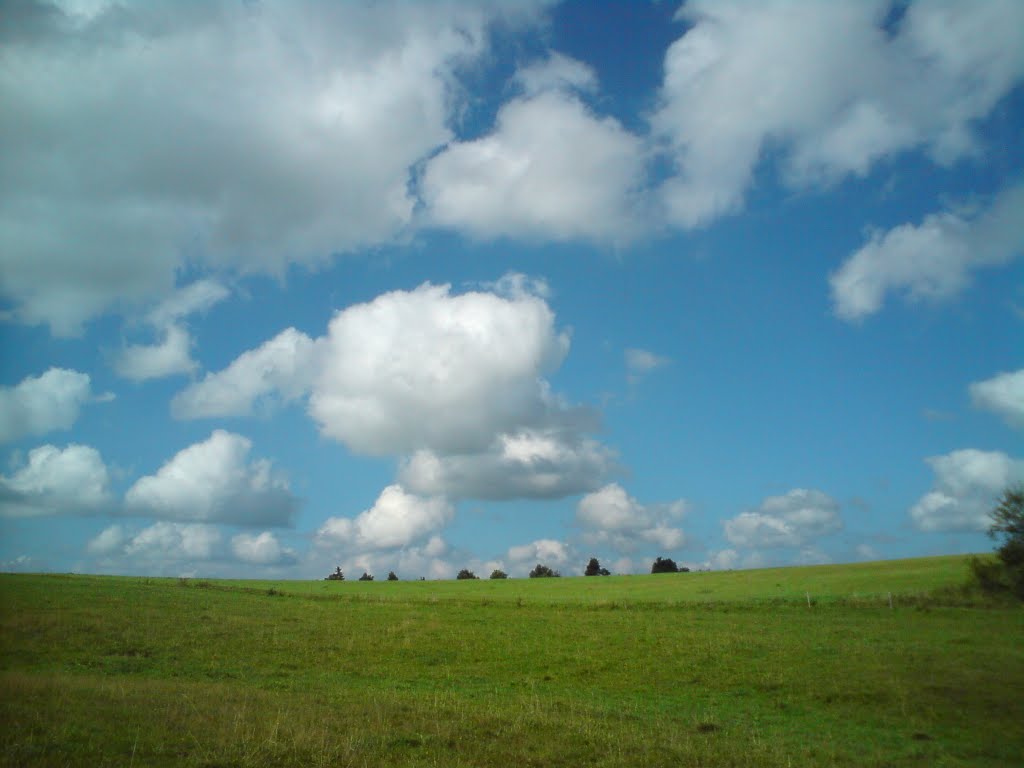 Walk in the meadows 4 by Rostislav Kopecek