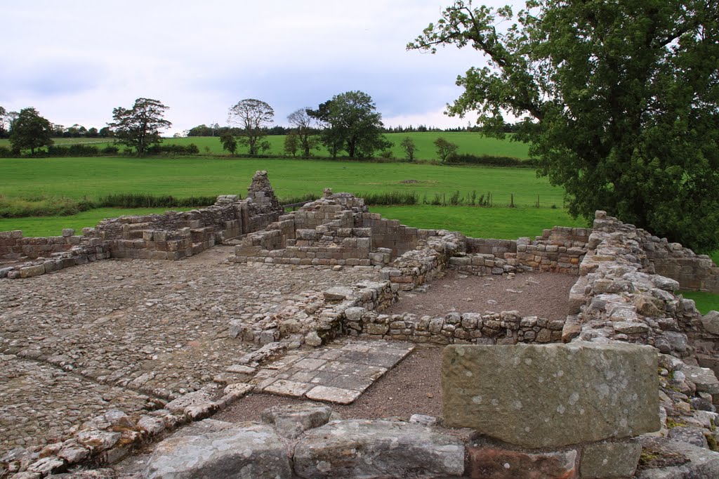 Edlingham Castle by Graham Turnbull