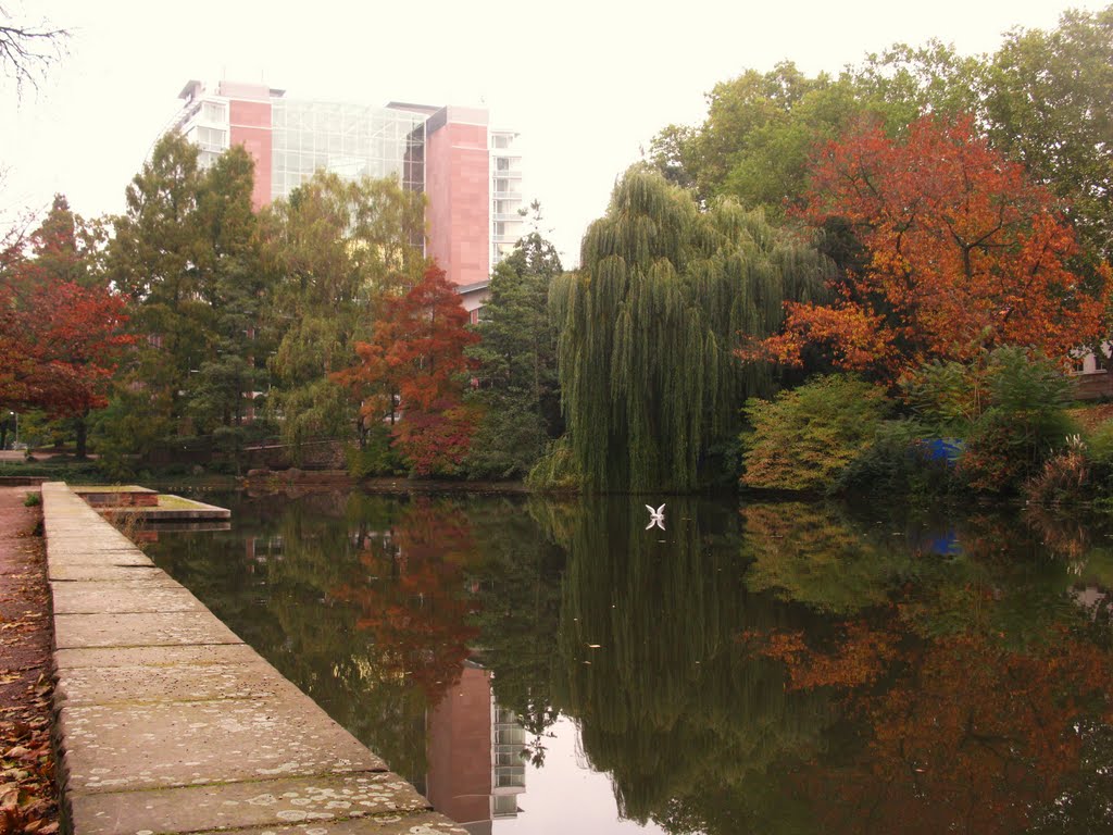 Indian summer at Hilton hotelpond by 600m