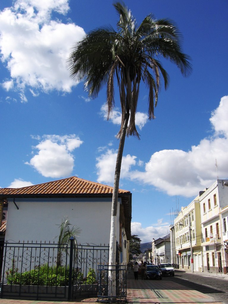 Esquina del Coco by Jaime Iturralde