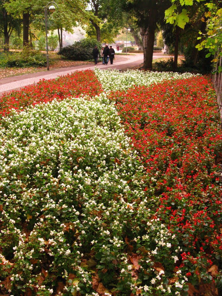 Blütenpracht im Oktober 2010 by 600m