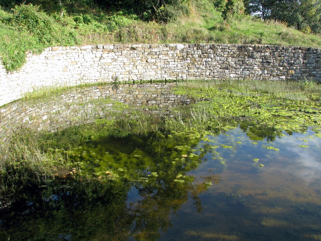 ▄▀ Stagno ai piedi del castello di San Servolo/Socerb by GFStellin