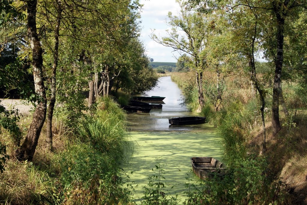 le port du Montru La chapelle heulin - marais by Dubois dominique