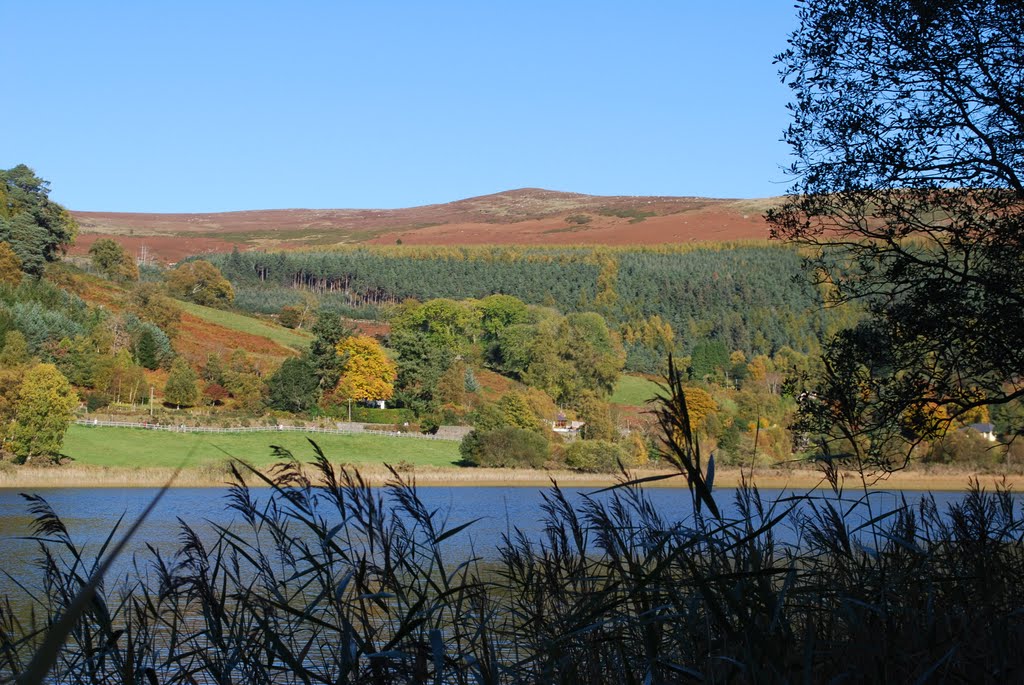 Lower lake Glendalough by Rob Johnson