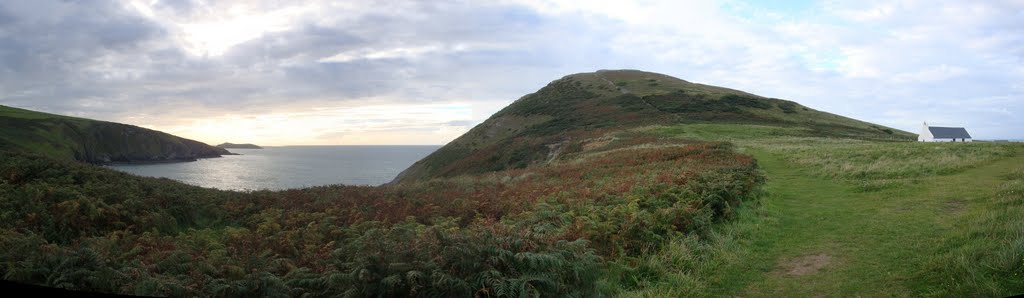 Mwnt by Michael Parry