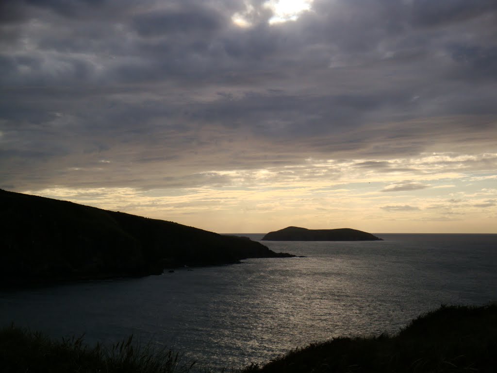 Cardigan Island by Michael Parry