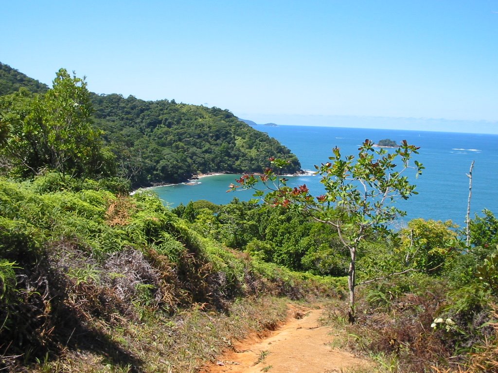 Trilha Praia do Bonete/Sedro em Ubatuba/SP by Eduardo V. Reis