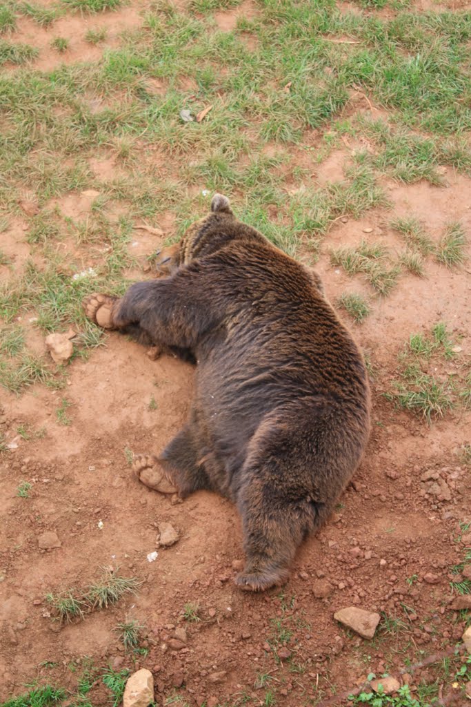 Momento Siesta by cricra