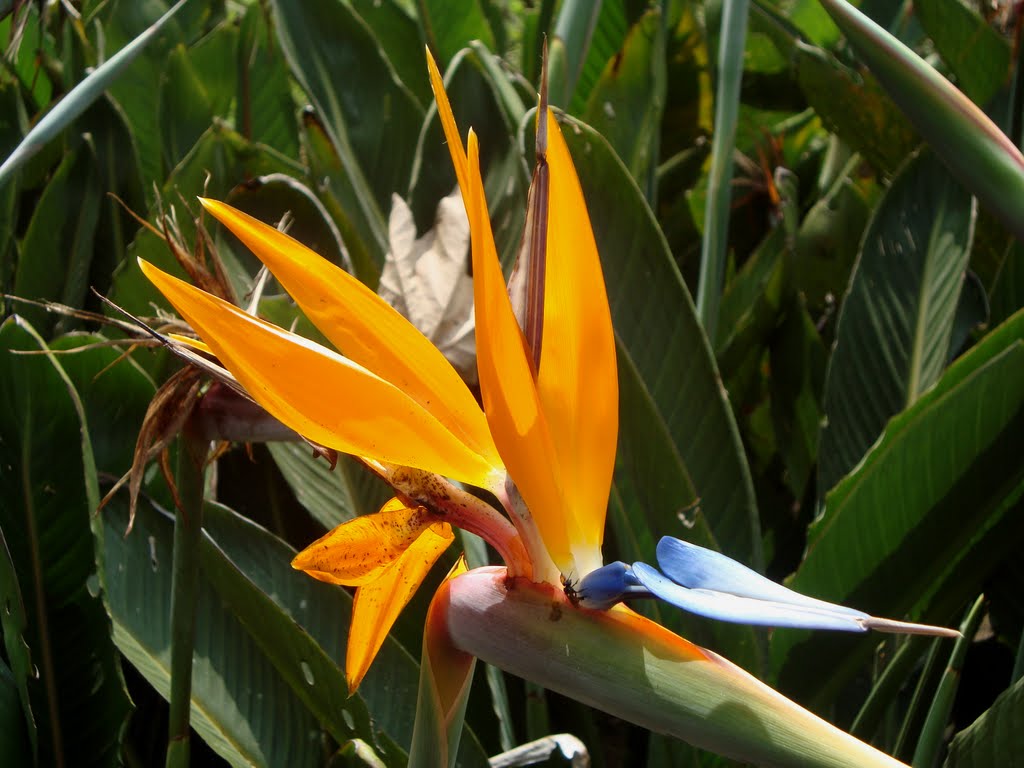 Jardin Botánico Clavijero, Xalapa by gladys.monsalve