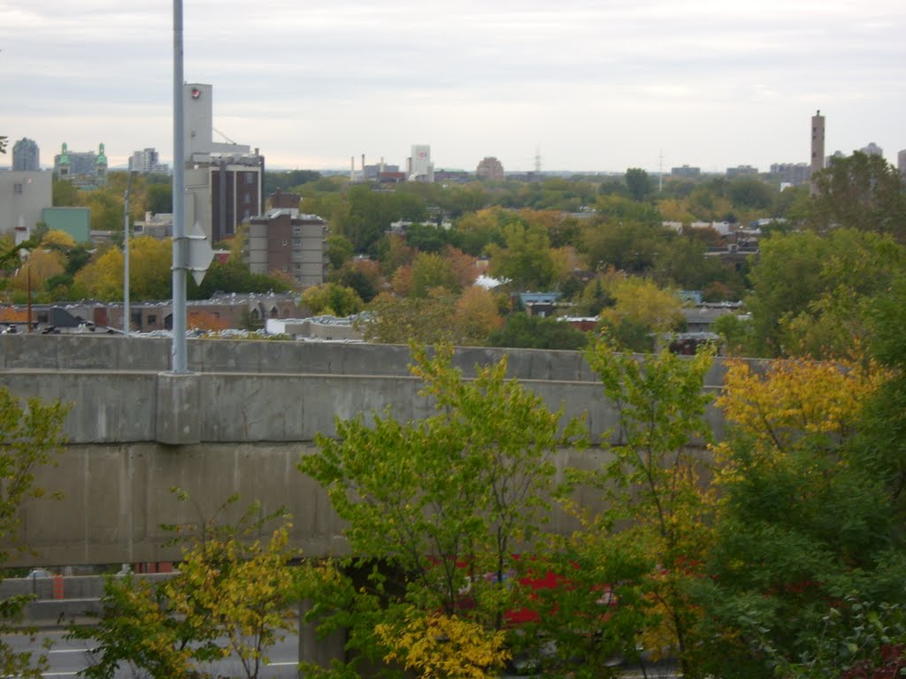 Montreal by BOUSEMHA LARBI