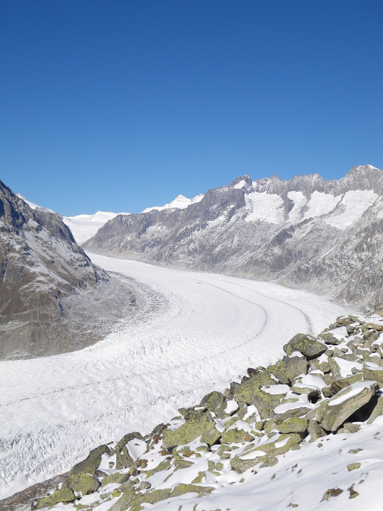 Aletschgletscher vom Bettmarhorn by Philipp Heidenreich