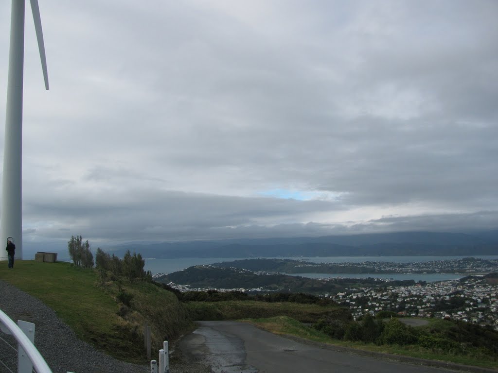 Wind turbine Wellington, New Zealand by Amandamac15