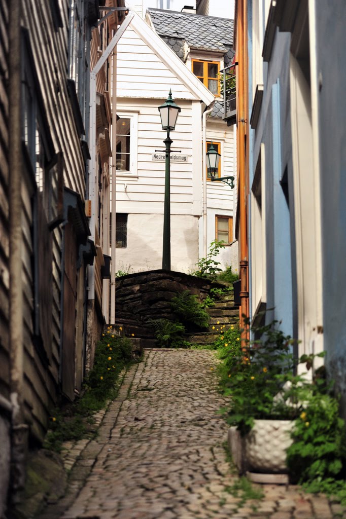 Bergen street by bReo