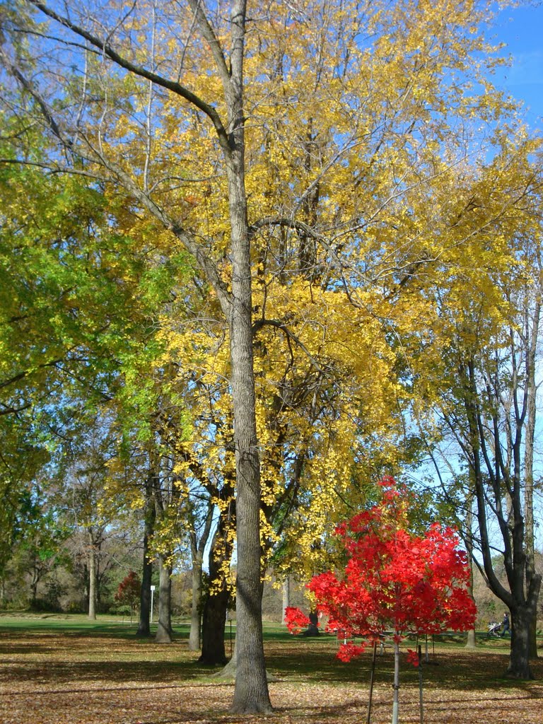 Lakeview, Oshawa, ON, Canada by Aris Patelos