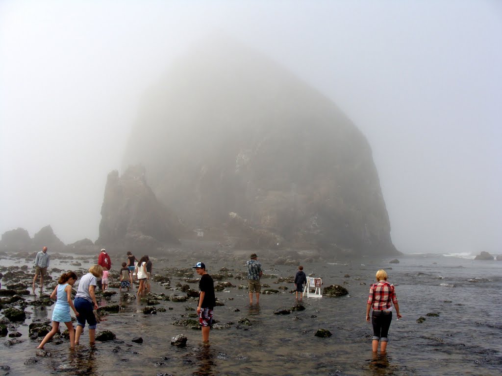 Haystack Rock, Cannon Beach, Oregon by JCooper