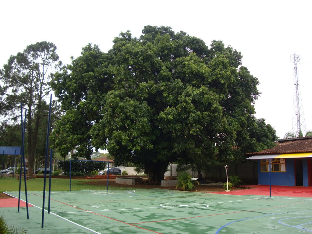 COLÉGIO MAGNA VIDA by albonilha