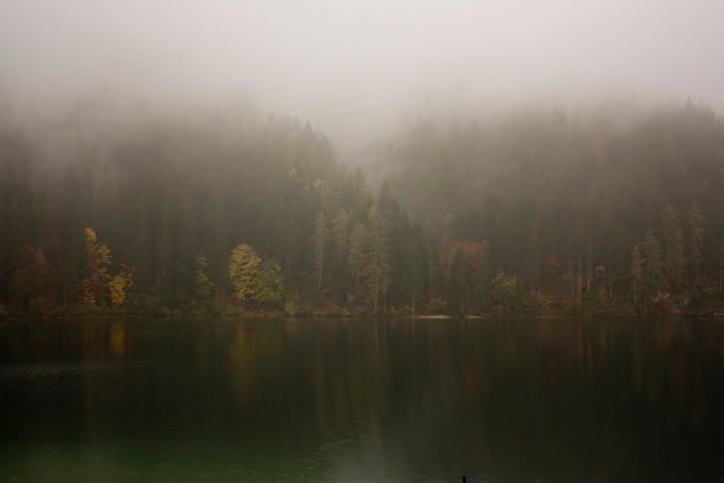 Lago di Tovel by Daniele Avarello