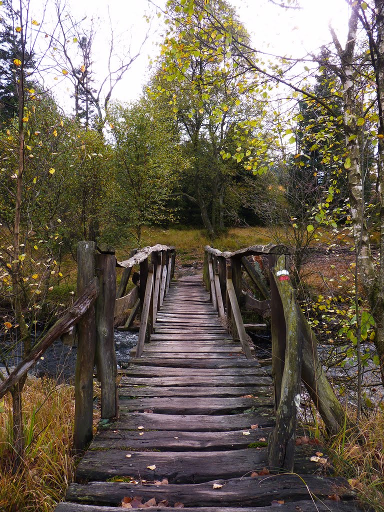 Balade dans les Fagnes by Randy Tchen