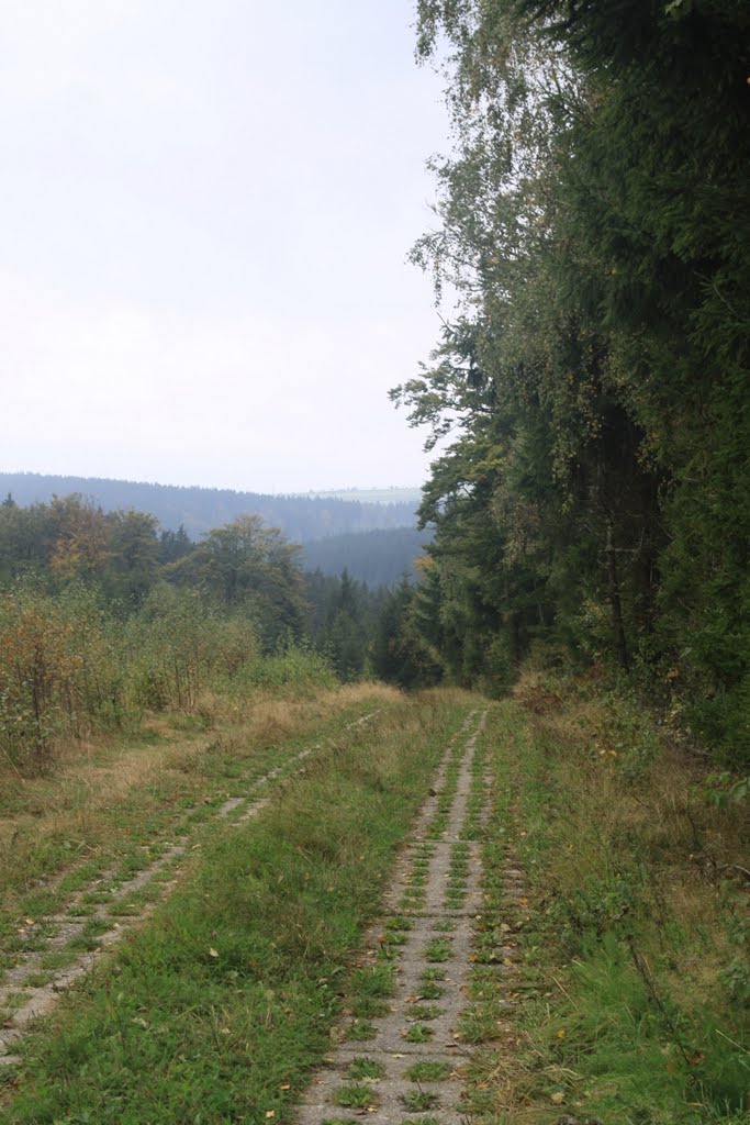 Rennsteig auf dem Todesstreifen by Mison