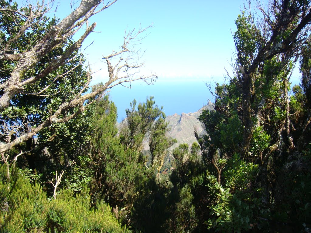 Norte de Anaga, visto desde el Mirador de Pico del Inglés by Joseme