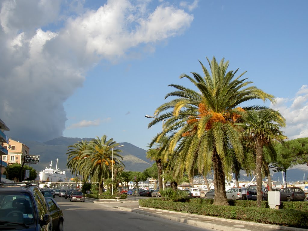 Italy Gaeta Palm trees at the water front by Andreas Tsakalidis