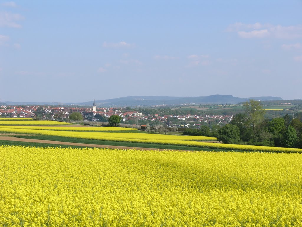 FOTOGALERIE ROLF ZIMS: 2009 Deutschland, Baden-Württemberg, Blick auf Poppenweiler und Korber Kopf by Fotogalerie-Rolf-Zims