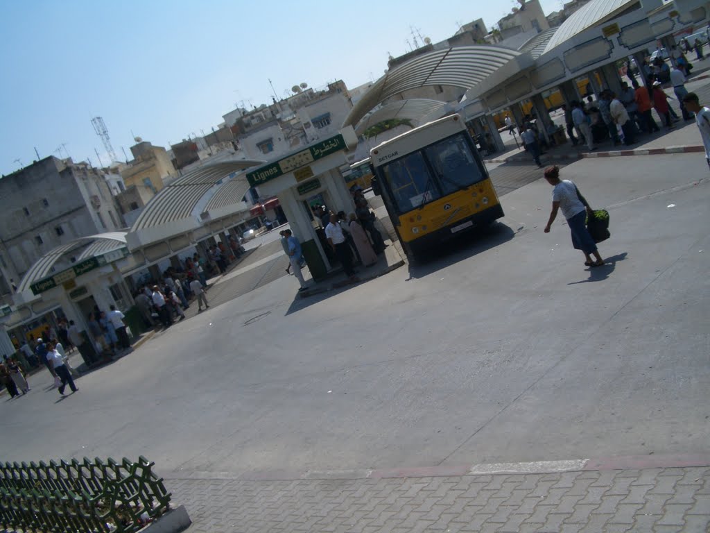 الحبيب ثامر محطة الحافلات / Terminus d'autobus du Jardin Habib Thameur / Jardin Habib Thameur Bus Terminal by LittleGray