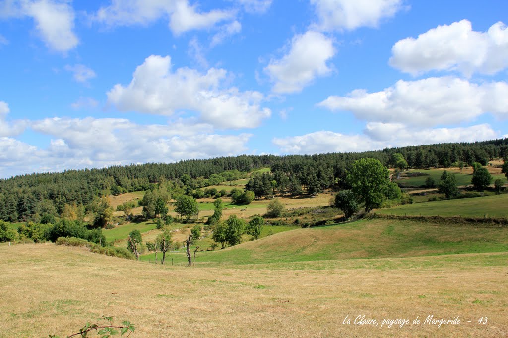 Paysage de Margeride - 43 by lorcas