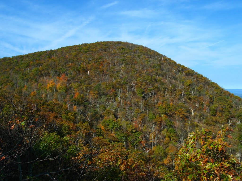 Hogback from the Appalachian Trail by rootboy