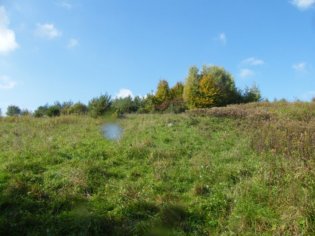 Felsőszölnök, 9985 Hungary by charlie_hu