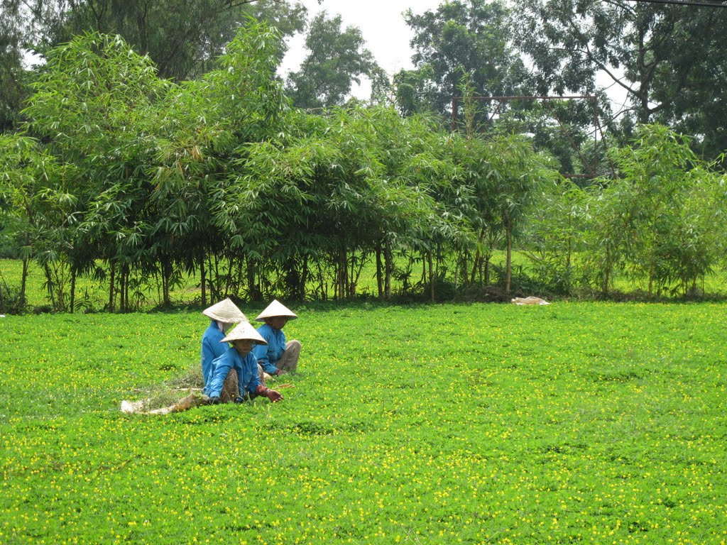 Công viên Lịch Sử Văn Hóa Dân Tộc by Ngọc Viên Nguyễn