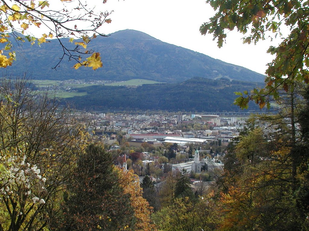 Alpenzoo, Innsbruck by yabatsch