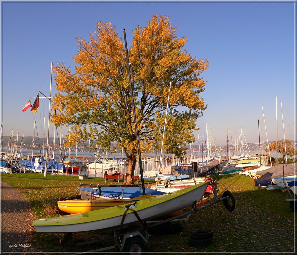 Herbstfarben am Hafen in Wallhausen by herba