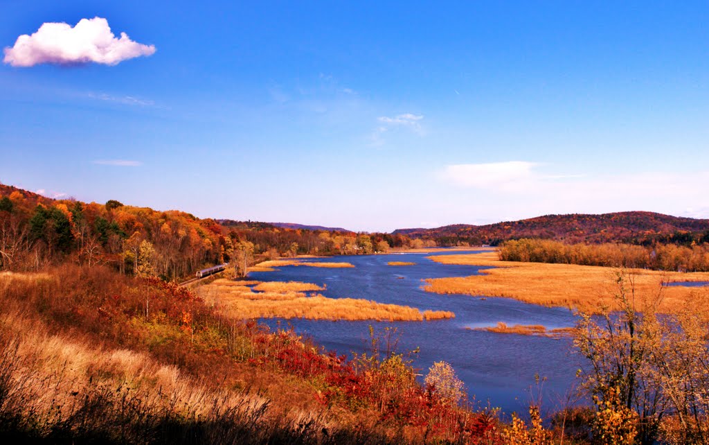 "The Adirondack" passing thru Clemons on Lake Champlain,Washington County, NY/ VT border, 20OCT10 by rhl130