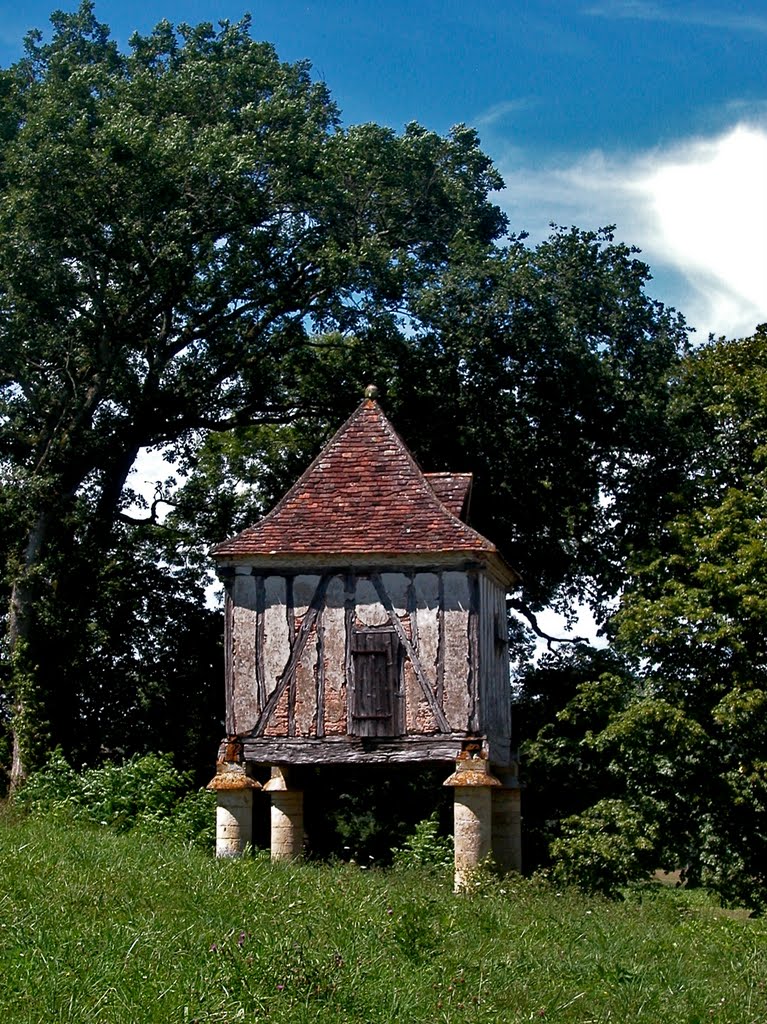 Pigeonnier à Pontours by RULLIERE Claude