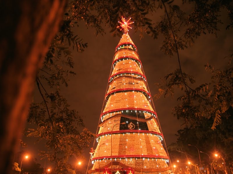 Árvore de Natal (Parque do Ibirapuera) by Frank Segieth