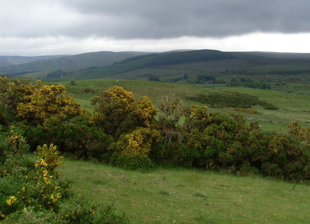 Knockalt Upper, Co. Wicklow, Ireland by Gerald Schreiber