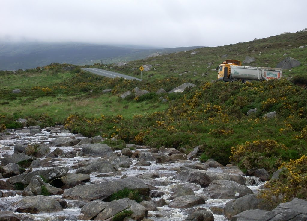 Brockagh, Co. Wicklow, Ireland by Gerald Schreiber