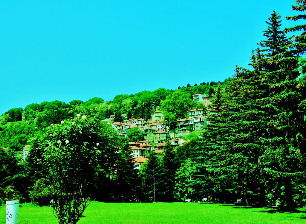 METSOVO GREECE by Antony B.