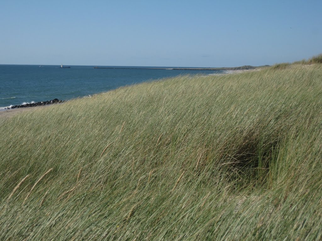 Blick über Strand in Hundested im Sommer 2010 by Erik2001