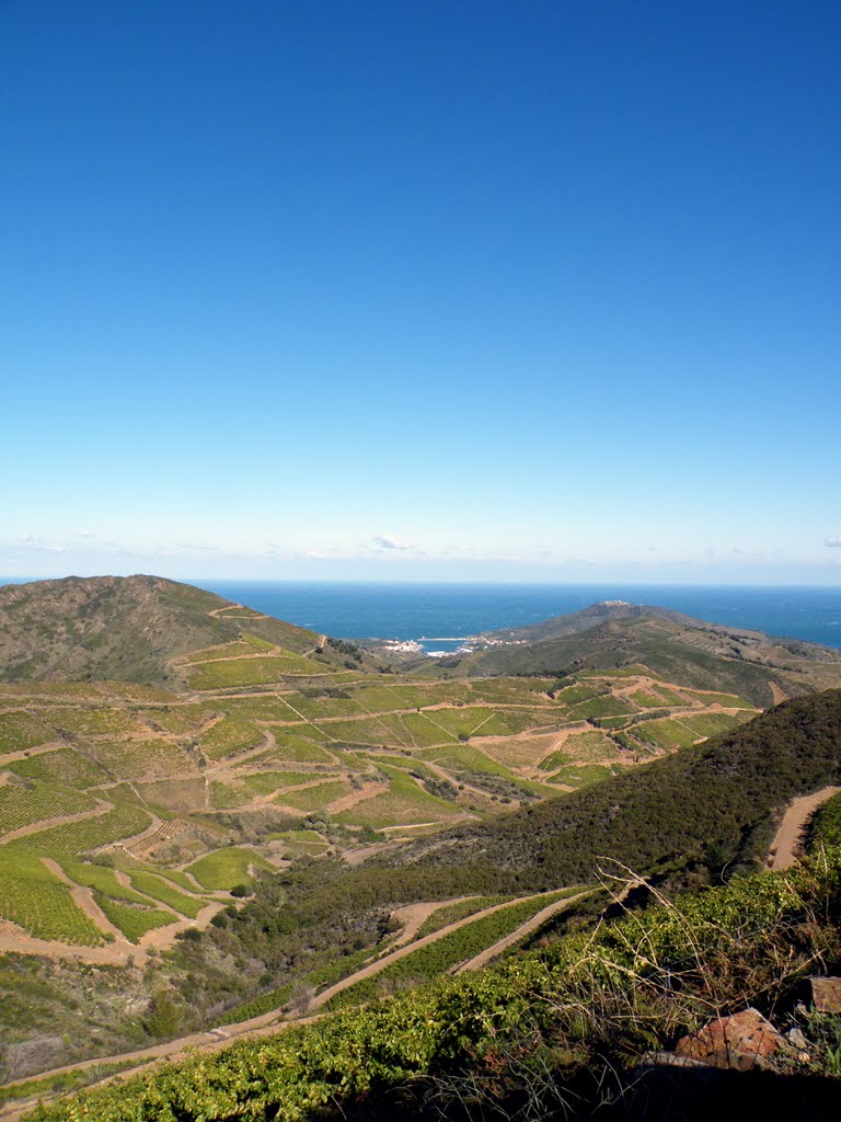 Port Vendres de la route de la Madeloc by dvilleret