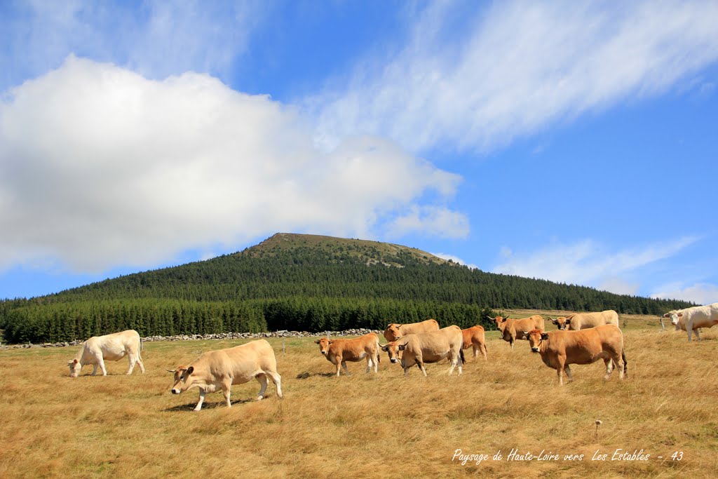 Paysage de Haute-Loire vers Les Estables - 43 by lorcas