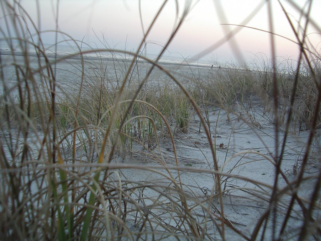 Hilton Head Beach by madhat