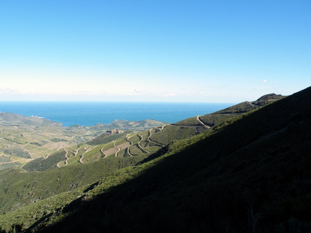 Cap béar et Ance de Paulilles depuis la route de la Madeloc by dvilleret