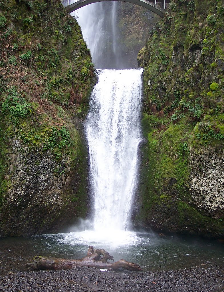 Lower Multnomah Falls by Buddy Rogers