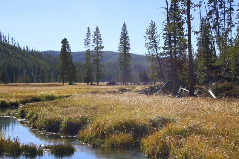 Yellowstone by TimPoe