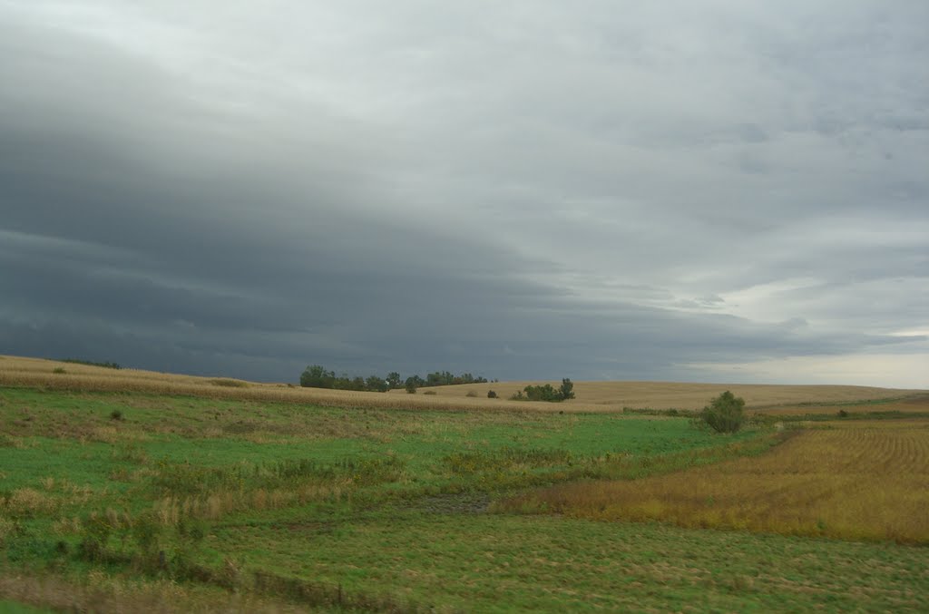 Beginning to Rain on the Fields by Cleo McCall